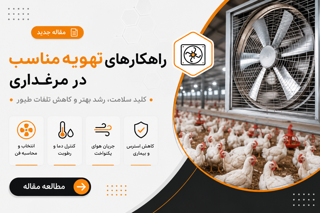راهکارهای تهویه مناسب در مرغداری؛ انواع سیستمها و اصول مدیریت هوا